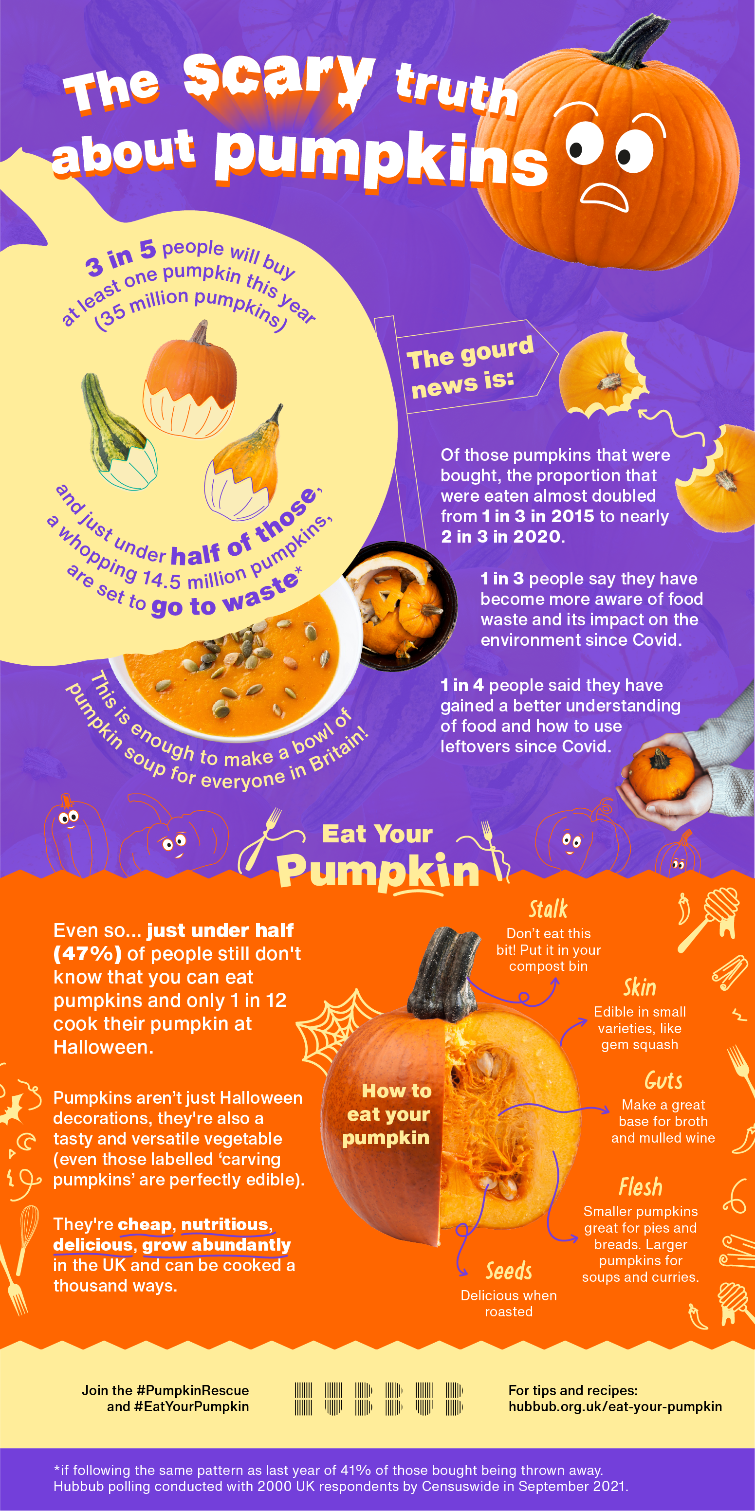 Hubbub Pumpkin Campaign 2021