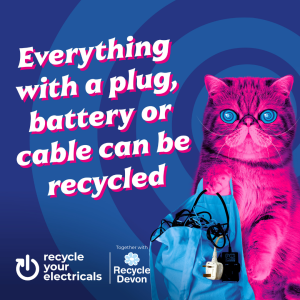 Hypno Cat - everything with a plug, battery or cable can be recycled.