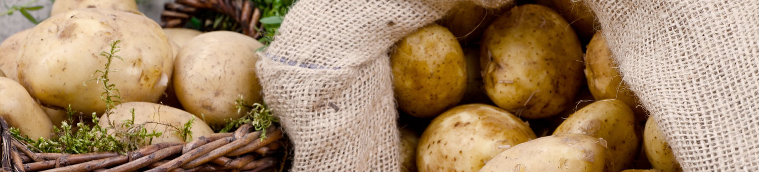 Potatoes in wicker basket and hessian sack